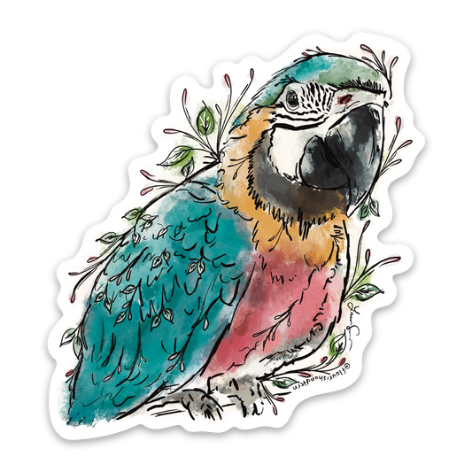 Macaw Sticker