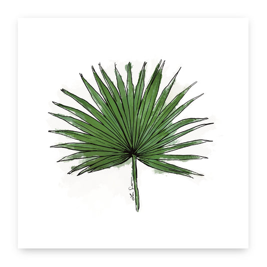 Fan Palm Art Print